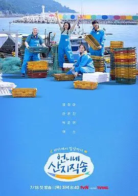《姐姐家的产地直送》：狗血剧情大揭秘，这瓜有点太‘历史’了吧！