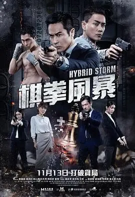 棋拳风暴（普通话） 海报